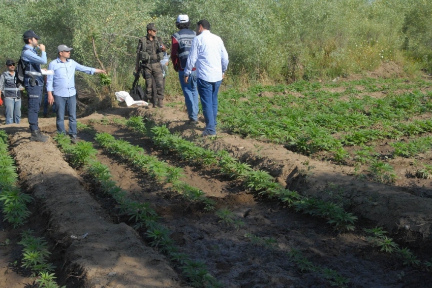 Diyarbakır’da büyük uyuşturucu operasyonu!