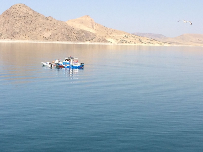 Feribottan yolcuların gözü önünde baraja atladı