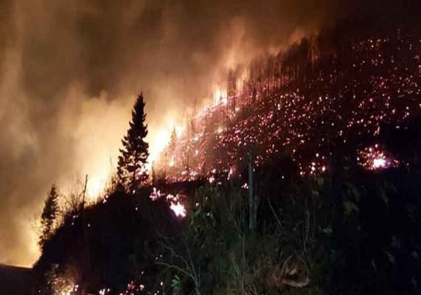 Trabzon ve Giresun’da orman yangınları