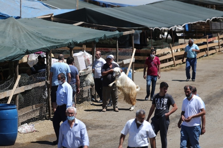 Bursa’da arife günü kurban pazarlarında hareketlilik yaşanıyor