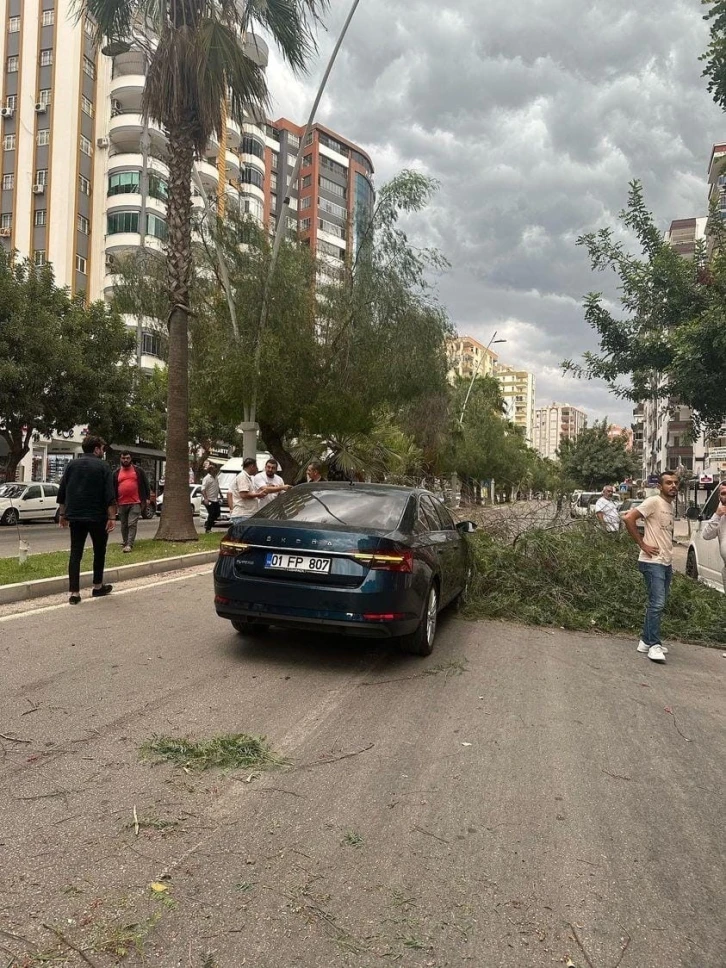 Adana’da kuvvetli yağış ve rüzgar hayatı olumsuz etkiledi
