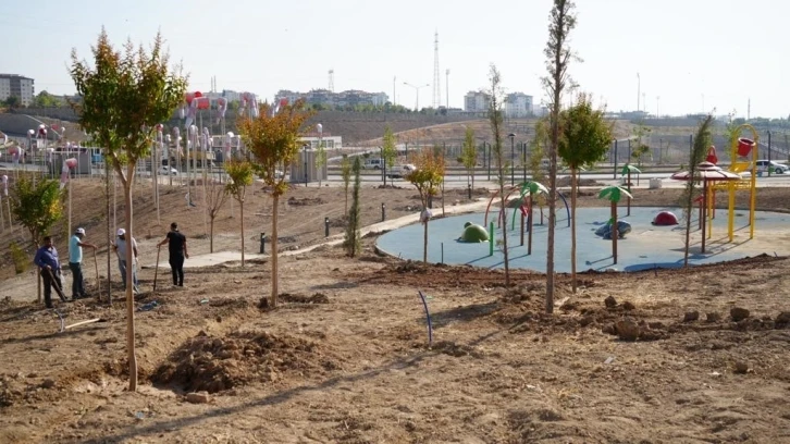 Adıyaman Millet Bahçesi ağaçlandırılıyor
