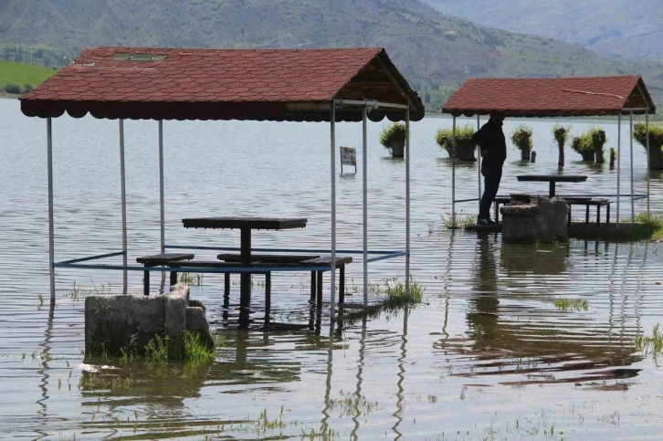 Afrika çöllerini aratmıyordu, şimdiyse kamelyalar sular altında kaldı
