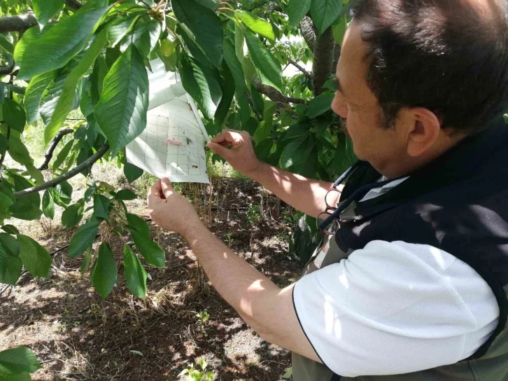 Afyonkarahisar’da ürün kontrolleri devam ediyor
