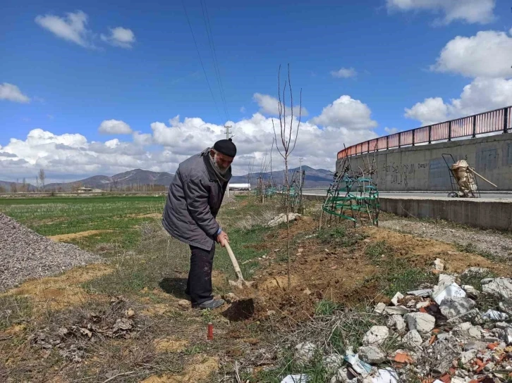 ’Ağaç sever dede’ diktiği bine yakın ağacın bakımını aksatmıyor
