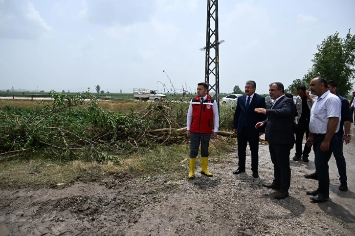 Ağaçların devrildiği, hortumun vurduğu Sakarcalık’ta yaralar sarılıyor
