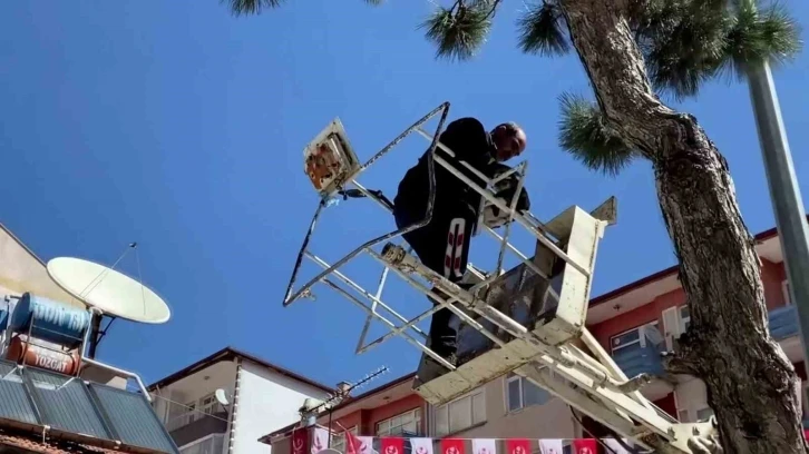 Ağaçta mahsur kalan kediyi itfaiye kurtardı
