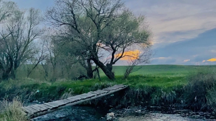 Ağrı baharla beraber renklere boyandı
