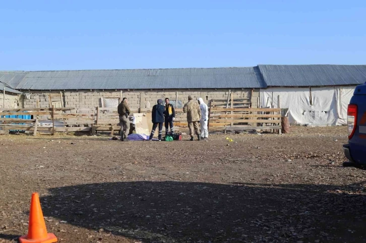 Ağrı’da silahlı saldırı: 3 kişi kafasından vurularak öldürüldü
