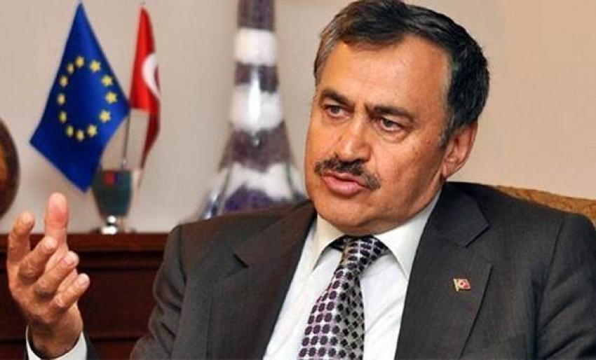 Bakan Eroğlu: Ahmet Hakan'a saldırı AK Parti'ye zarar vermek içindi