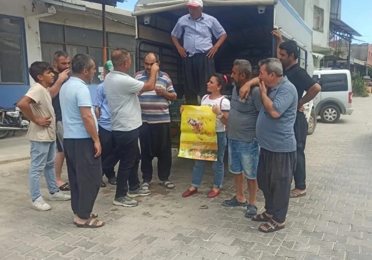 Akdeniz meyve sineği ile mücadele başladı
