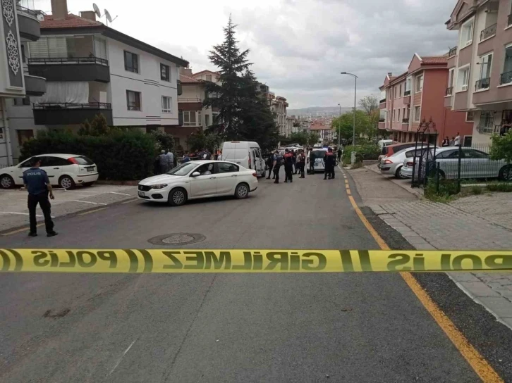 Akli dengesi bozuk şahıs dehşet saçtı: Kız kardeşini öldürdü, erkek kardeşini yaraladı
