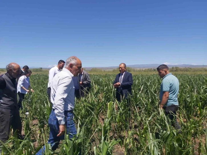 Akyaka’da ekili arazilerde hasar tespit çalışmaları sürüyor
