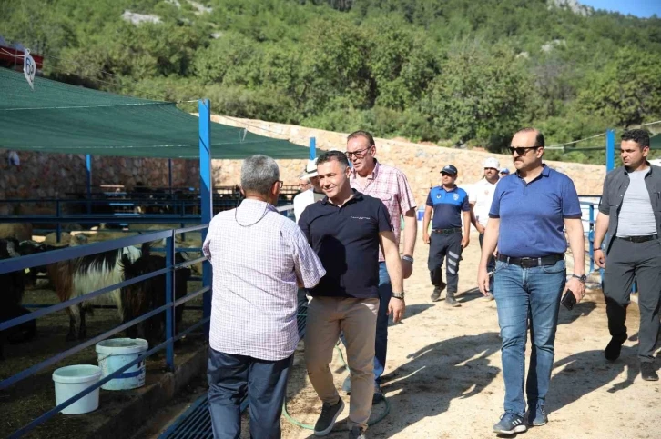 Alanya Belediyesi Kurban Satış Tesisi Kurban Bayramı’na hazır
