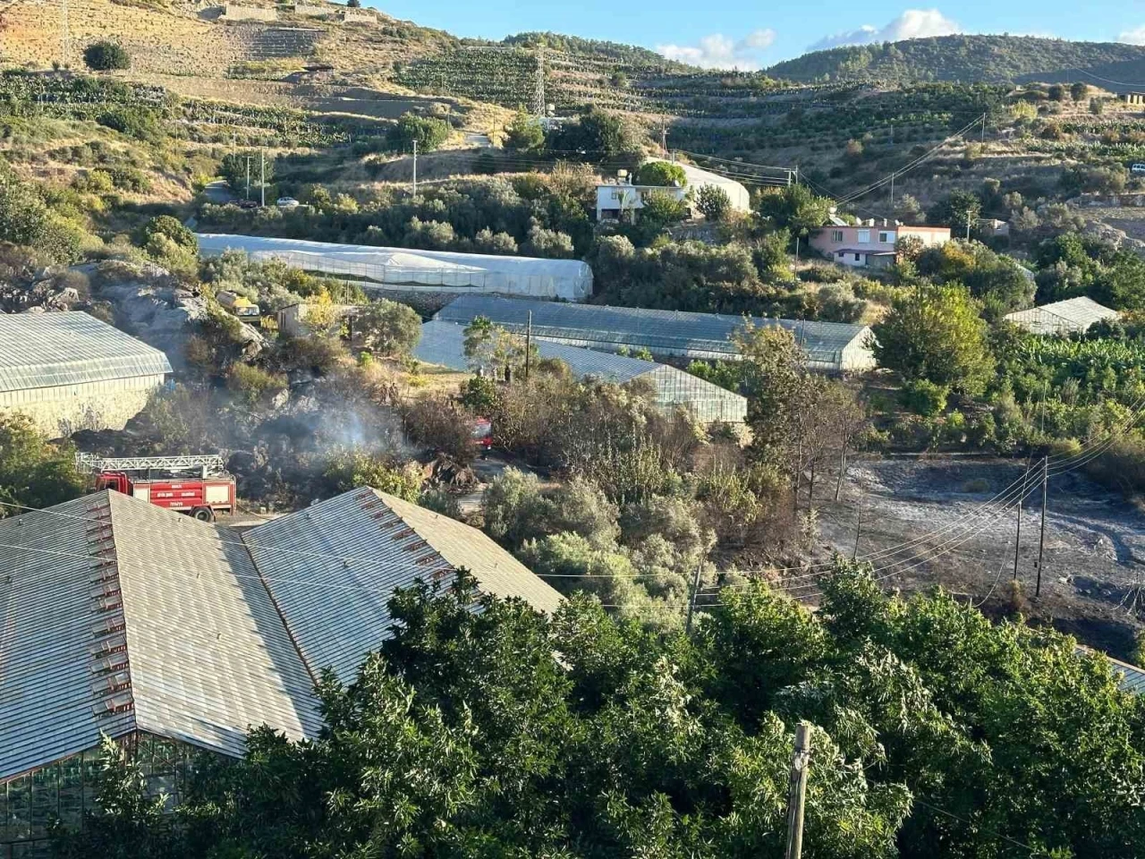 Alanya’da avokado bahçesinde yangın: 60 ağaç kül oldu
