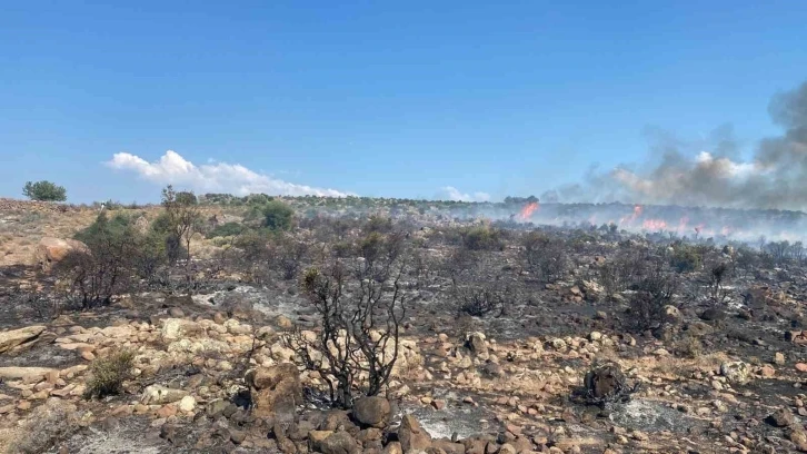 Aliağa’da makilik yangını havadan ve karadan müdahale ile kontrol altına alındı