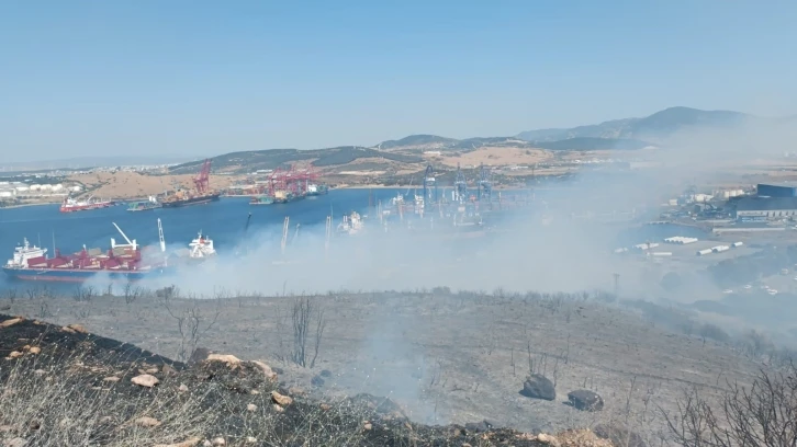 Aliağa’daki orman yangını kontrol altında
