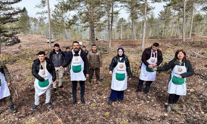 Altıntaş ve Dumlupınar Kaymakamları karaçam tohumu ekimi yaptı
