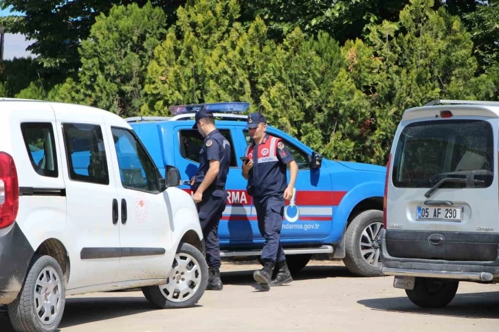 Amasya’da büyükbaş hayvana vahşet: 5 gözaltı
