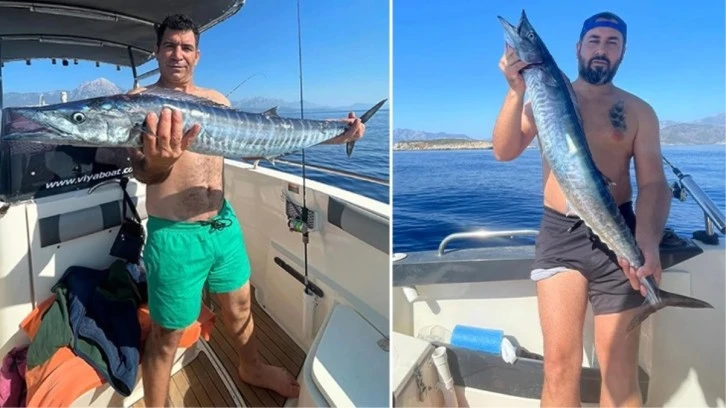 Amatör balıkçılar farklı bir tür palamut balığı yakaladıklarını sanmıştı...