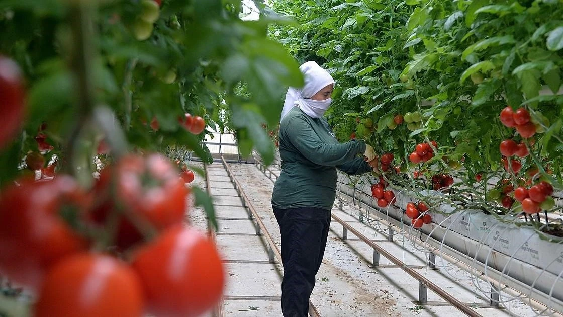 Anadolu coğrafyasının "Beyaz Altını" jeotermal
