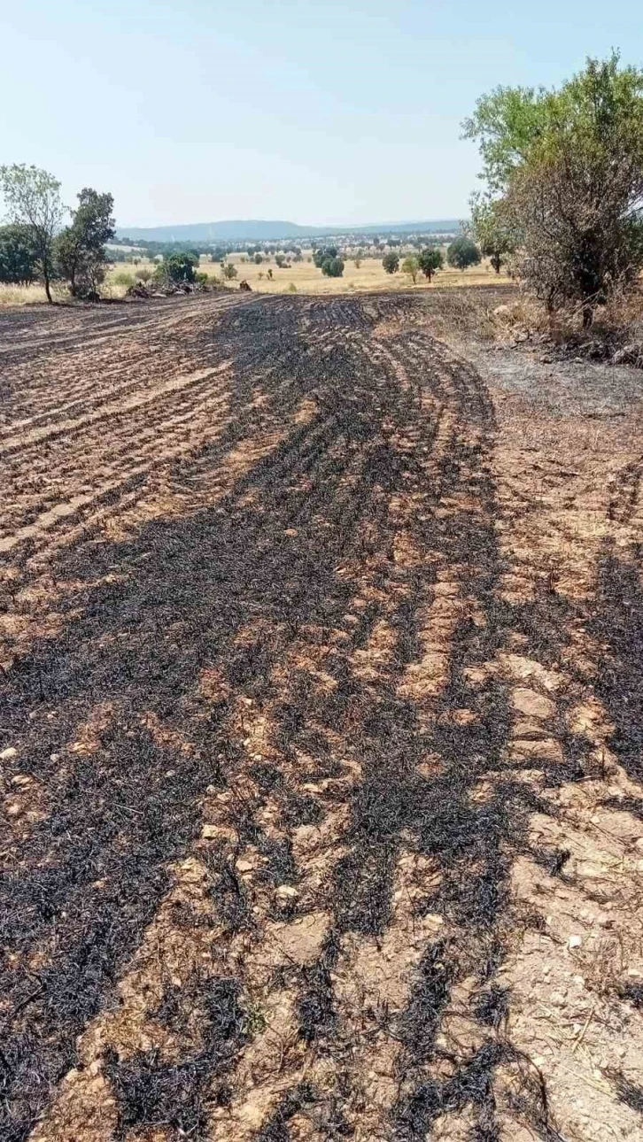 Anız yangınında 2 dekar alan zarar gördü
