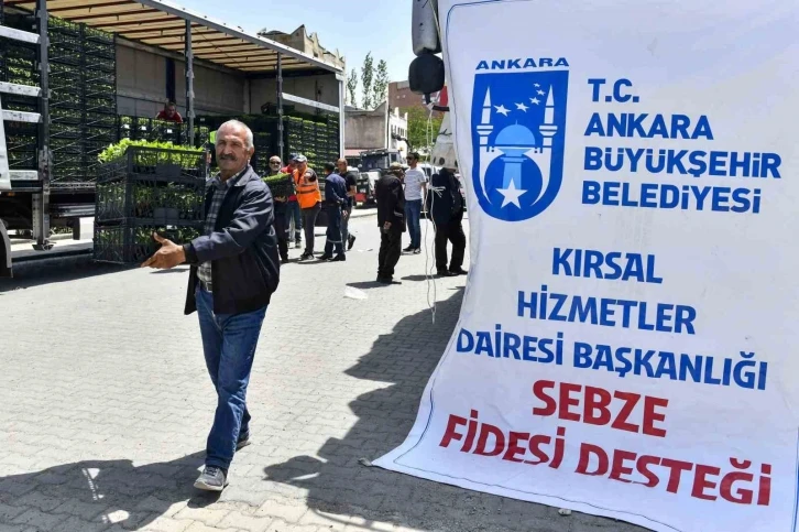 Ankara Büyükşehir Belediyesinin sebze fidesi dağıtımı tekrar başladı
