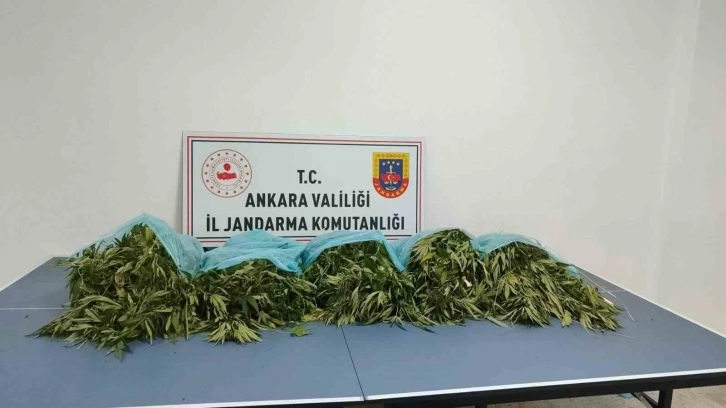 Ankara’da narkotik operasyonu: 25 kilogram kubar esrar ele geçirildi
