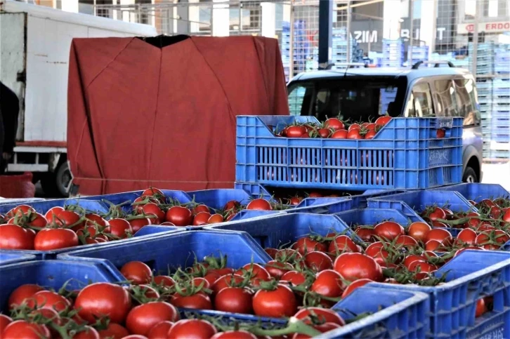 Antalya’da domates miktarı azalınca, fiyatı arttı
