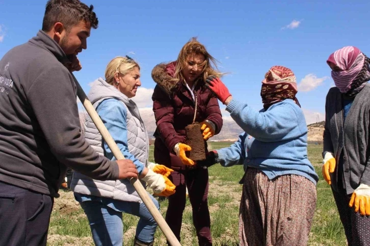 Antep fıstığı fidanları Elmalı’da toprakla buluşturuldu
