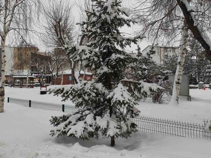 Ardahan’da karla gelen eşsiz güzellik
