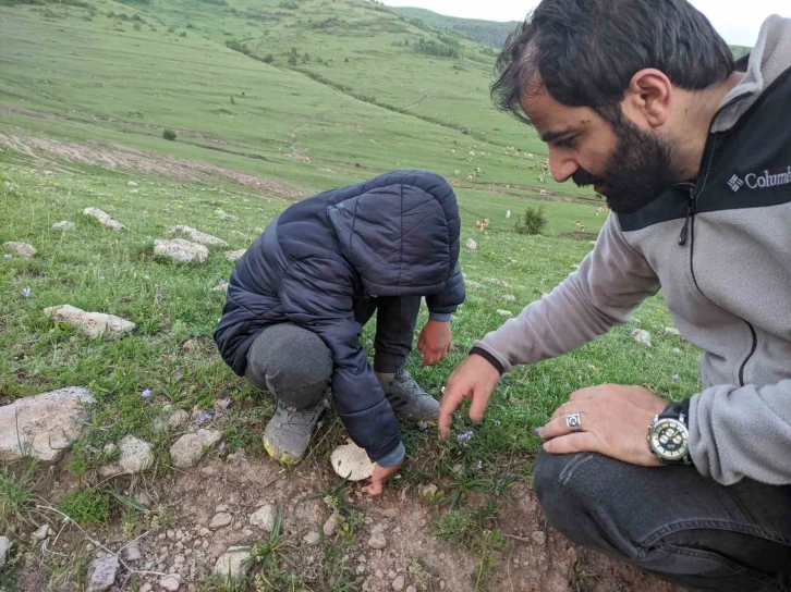 Ardahan’da yağışların ardından "mantar" bereketi
