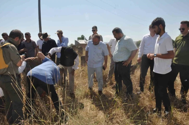 Arkeologlar Mollakent’teki tarihi yerleri gezdi
