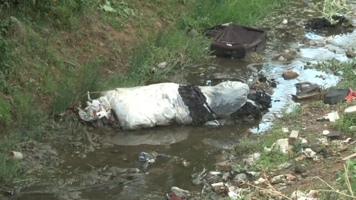 Arnavutköy’de haşere yuvasına dönen dere mahalleliyi isyan ettirdi
