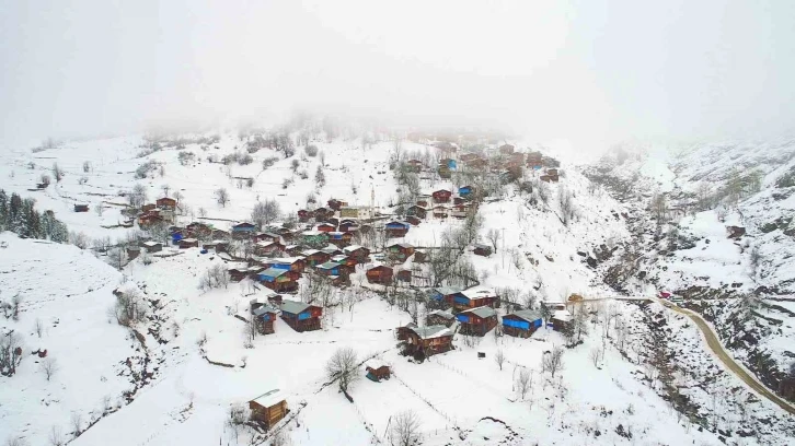 Artvin’de çığ altında kalan bir kişi kurtarıldı
