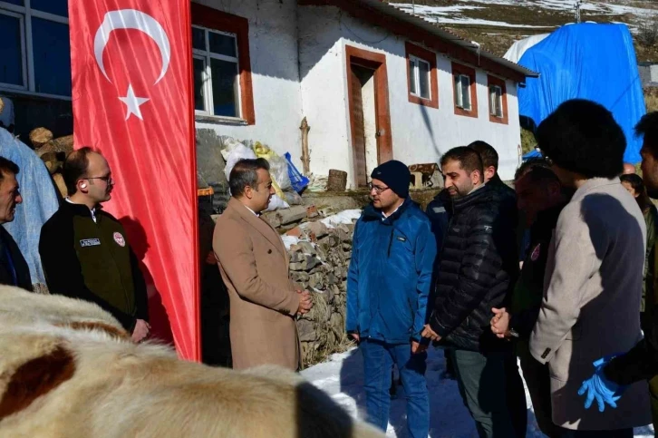 Aşılama ile buzağı ölümlerinin azalması hedefleniyor
