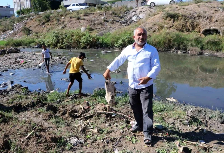 At kemikleri, ölü hayvanlar ve lağım suyu arasında kurbağa avı
