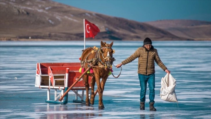 Atlı kızaklar Çıldır Gölü'nün kısmen donan yüzeyine çıkmaya başladı