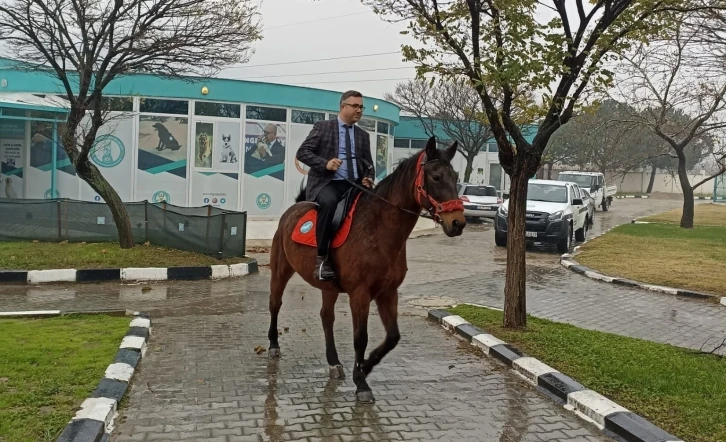 Atlı Zabıta Birliği göreve hazırlanıyor
