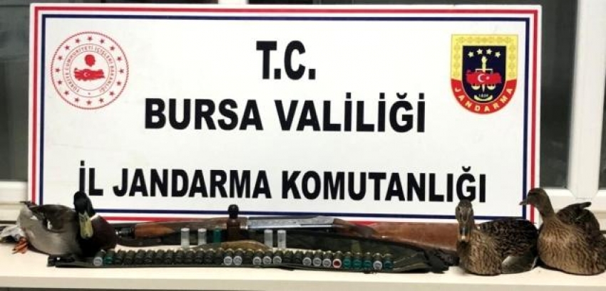 Bursa'da ava giderken avlandılar!