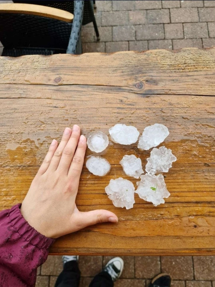 Avrupa, yaz ayında kışı yaşadı
