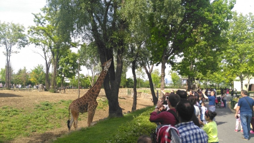 Bursa'da hayvanat bahçesine ziyaretçi akını