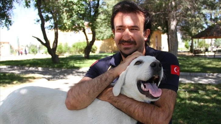 Ayağı yaralı köpek 