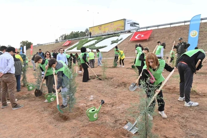 Aydın’da 2 bin 23 mavi servi fidanı toprakla buluştu
