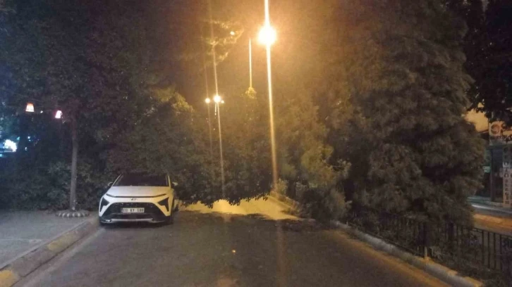 Aydın’da devrilen araç park halindeki otomobile zarar verdi
