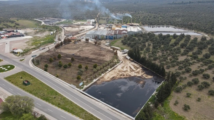 Ayvalık Belediyesi davayı kazandı: Çevreyi kirleten fabrikanın lisansına iptal kararı
