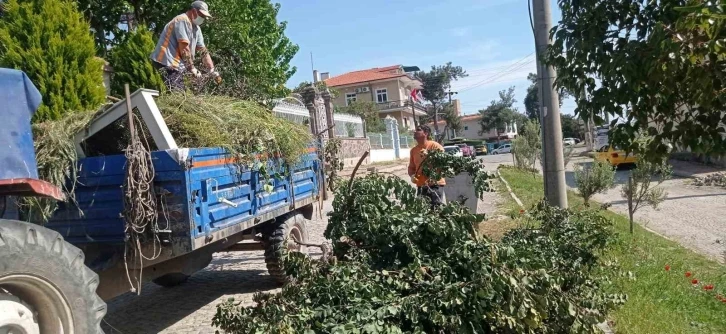 Ayvalık’ta sezon öncesi detaylı temizlik
