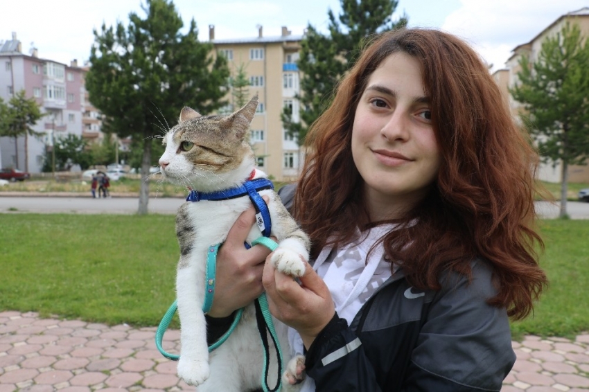 İşkence edilen sokak kedisini sahiplenip sağlığına kavuşturdu