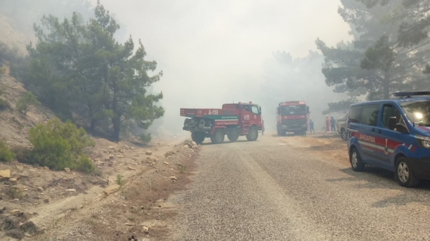 Antalya’da orman yangını