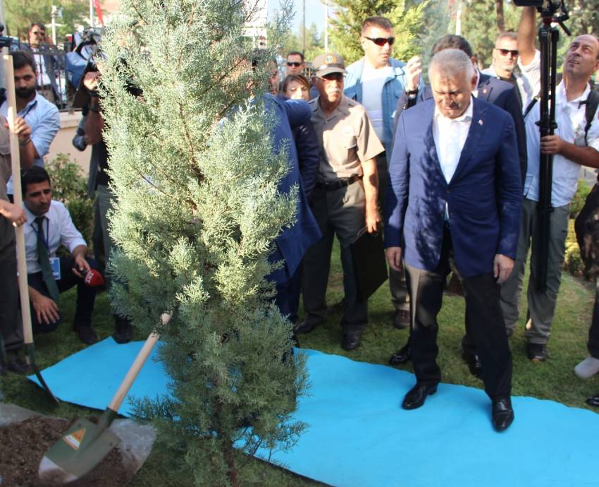 Başbakan Yıldırım, valilik bahçesine ağaç dikti